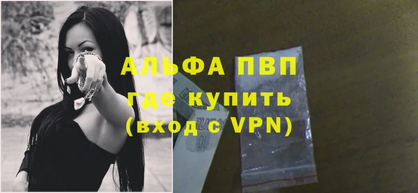 спиды Богданович
