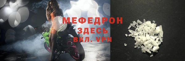 спиды Богданович