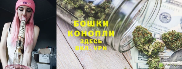 СК Богородицк