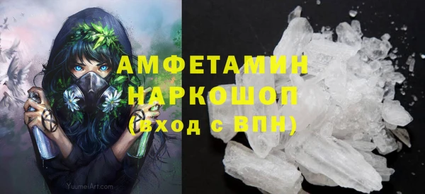 спиды Богданович