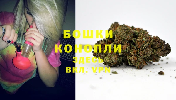 спиды Богданович