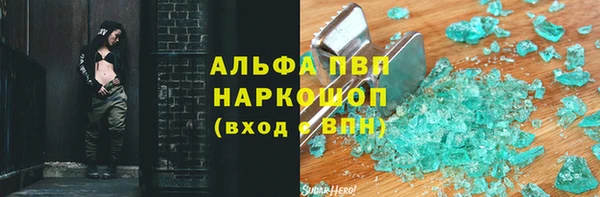 спиды Богданович