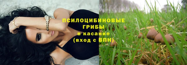 СК Богородицк